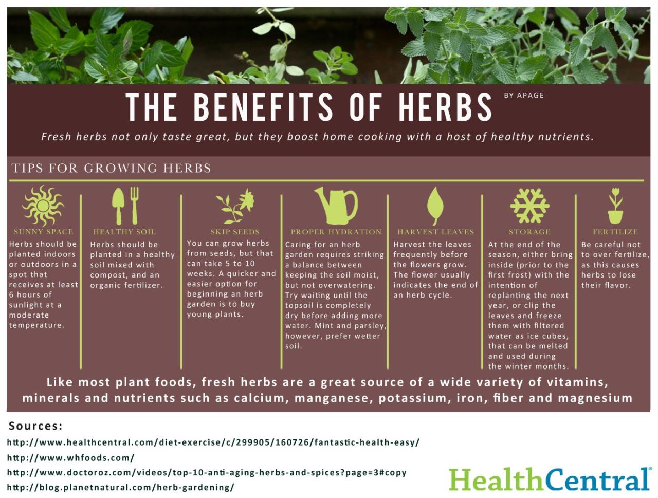 Unlock Biota Herbs Potential in Your Life