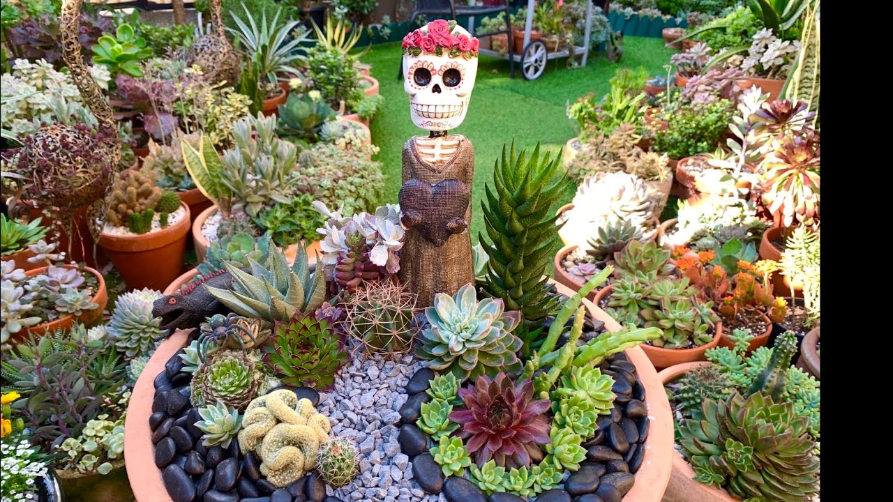 How to Turn Succulents Into Halloween Decorations